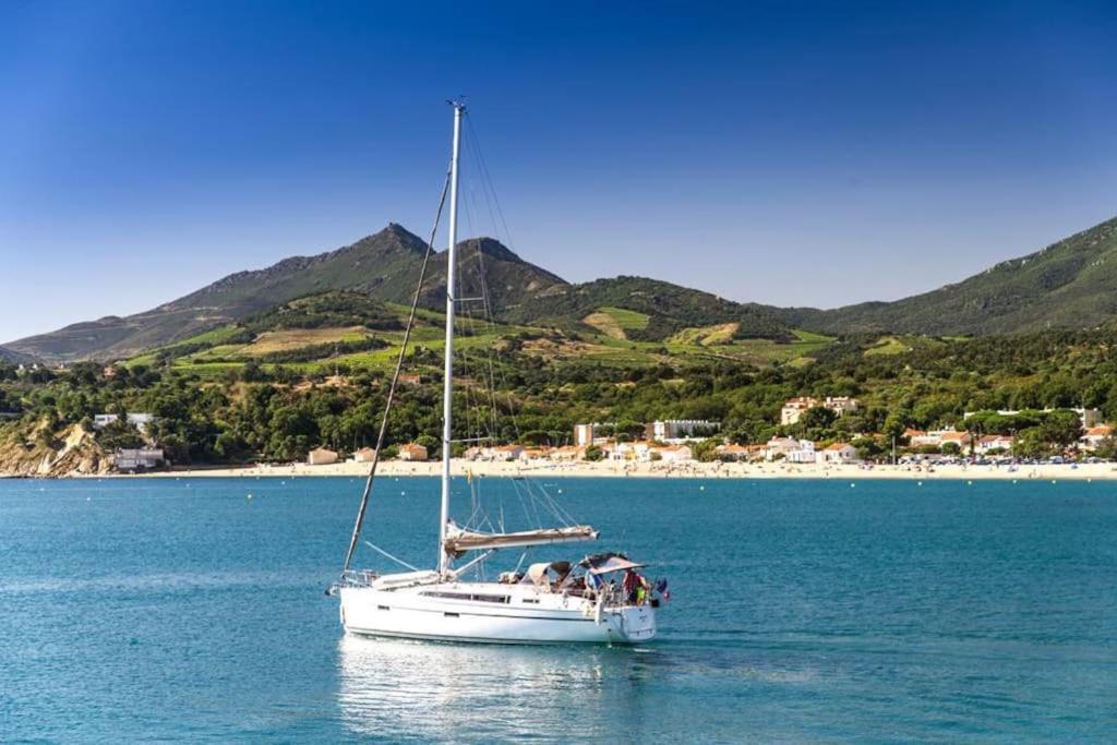 "Les Bambous" Studio Cosy Climatise Au Calme De 37 M2 Parking Gratuit A Argeles Sur Mer Dış mekan fotoğraf