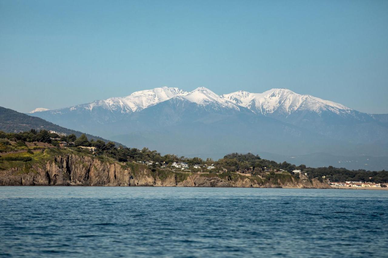 "Les Bambous" Studio Cosy Climatise Au Calme De 37 M2 Parking Gratuit A Argeles Sur Mer Dış mekan fotoğraf
